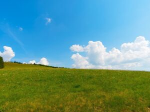 Actualités 6 etude de sol obligatoire g1